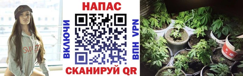 Виды наркотиков купить Королёв ГАШИШ  Cocaine  МЕФ  Кодеин  МАРИХУАНА 