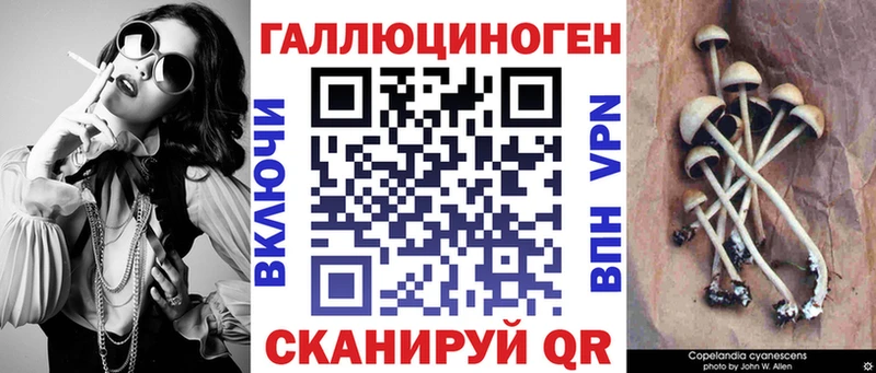 Галлюциногенные грибы Psilocybine cubensis  Королёв 
