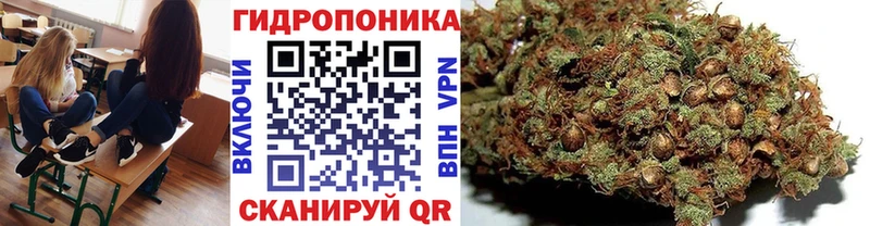 MEGA ссылка  Королёв  МАРИХУАНА THC 21% 